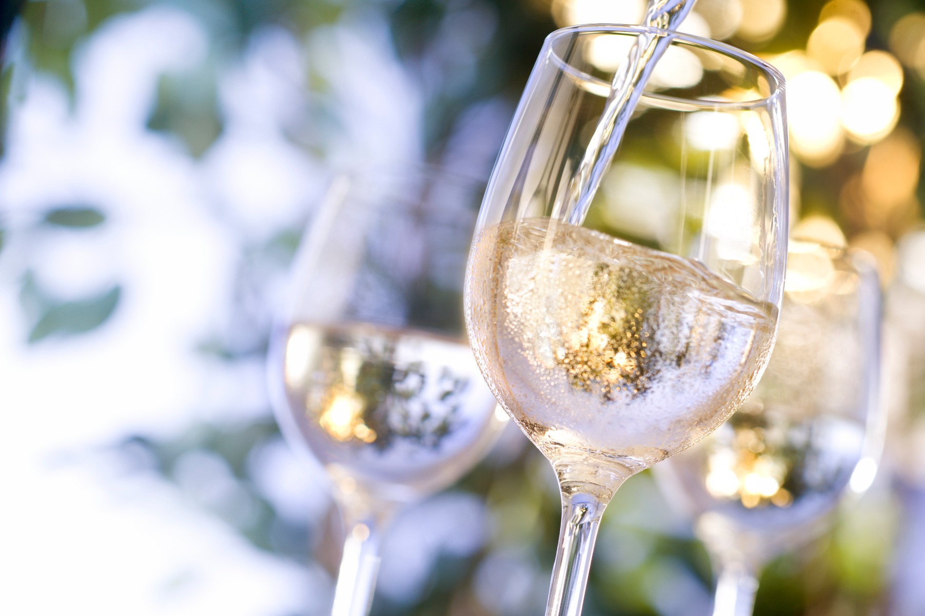 Sparkling White Wine Champagne