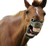 horse yawn from bobbisworld-dontchaknow.blogspot.com
